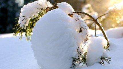 Морозы "отпустят" на севере страны