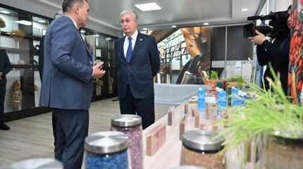 Новые гибриды подсолнуха и сорта сои показали Президенту на Востоке Казахстана