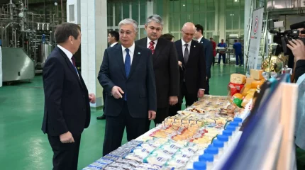 Президент Шығысты сүтпен қамтып отырған корпорацияны аралады