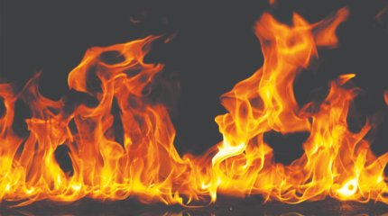 Қала шетінде өртеліп жатқан иттердің өлекселері жұртты шошытты