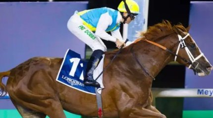 Кабирхан жылқысы тағы да Дубайда бәйгеге қатысады