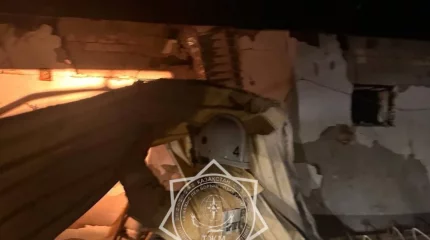 Қызылорда облысында төрт мың құс өртеніп кетті