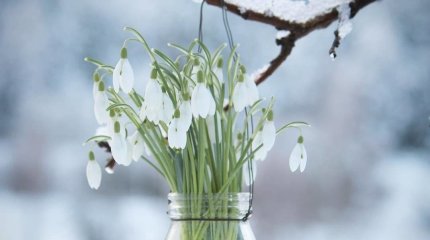 Весна в Казахстане начнётся с зимней погоды, - синоптики