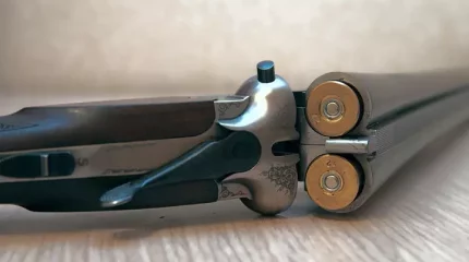 Жамбыл облысындағы ауылда оқ атылды: 34 жастағы ер адам көз жұмған