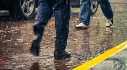 Елімізде биылғы көктем қандай болады?