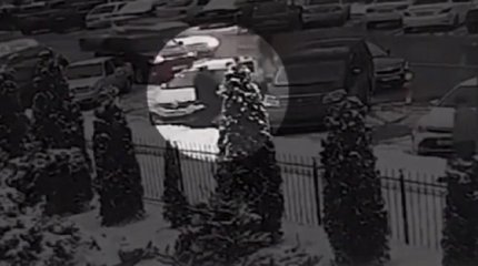 Похищение невесты в Шымкенте: омбудсмен по правам человека сделал заявление.