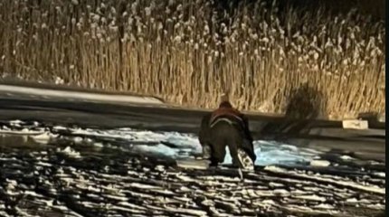 Автомобиль с тремя рыбаками провалился под лёд в Карагандинской области