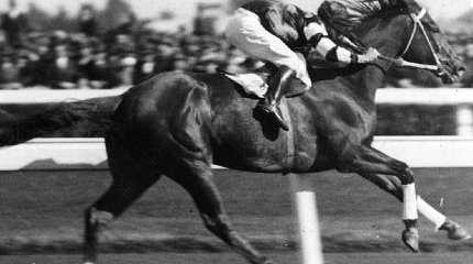 Спортшы аттан құлап мерт болды