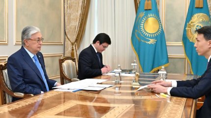 Глава государства принял председателя правления АО «Национальная атомная компания «Казатомпром»