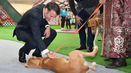 Тоқаев Франция президентіне қазақы тазының екі күшігін сыйлады