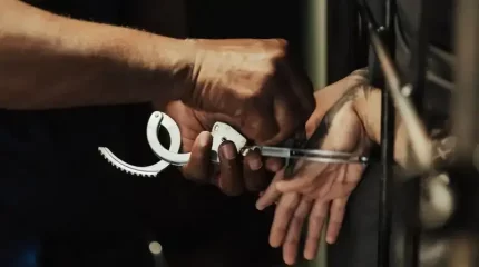 Алматы мен Шымкентте "Дикий Арман" қылмыстық тобының мүшелері ұсталды