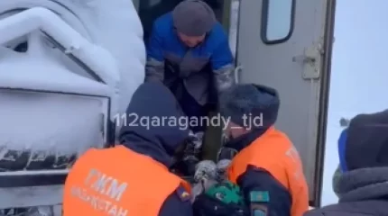 Боранда баласымен бірге адасып кеткен әйел табылды