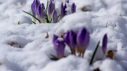 Елімізде қашан күн жылынатыны белгілі болды
