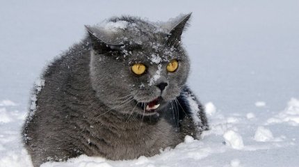 Март с морозами до -35 прогнозируют в Казахстане