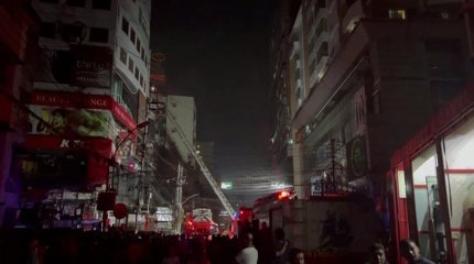 В тропических лесах Амазонки нашли гигантскую анаконду