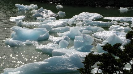В области Абай наблюдается скопление талых вод из-за резкого таяния снега