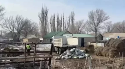 Абай облысында бірнеше үйдің ауласын су басып қалды