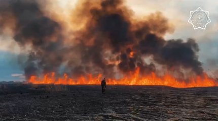 Неделю тушили камыш на побережье Каспия