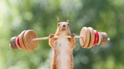 Львы, держите себя в руках, Водолеи, заряжайтесь позитивом: советы звёзд на 11 марта