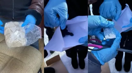 Петропавлда есірткі жасырып, таратты деген күдікпен екі әйел ұсталды