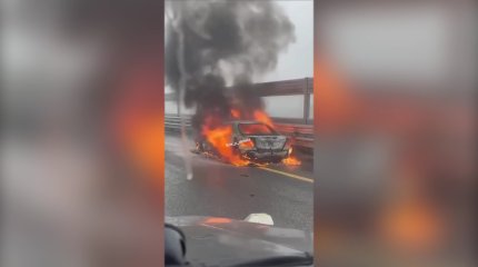 Густой туман стал причиной трех массовых ДТП в Алматинской области