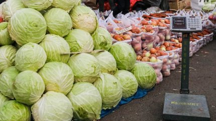 Павлодарда көкөніс сатқан Қырғызстан азаматтары жауапқа тартылды