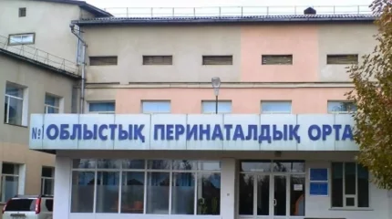 Түркістан облысында перзентхананың бас дәрігері мен есепшісі сотталды