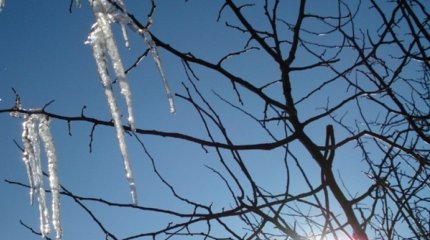 Потепление с дождями и метелями идёт в Казахстан