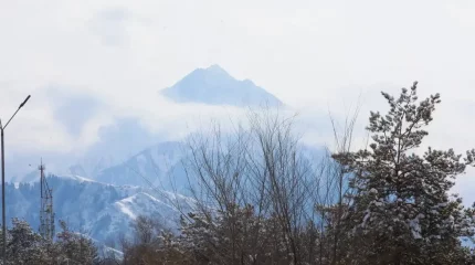 Алматыдан 522 шақырым аумақта жер сілкінді