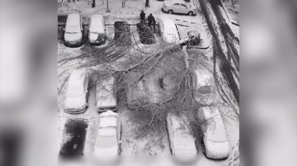 Алматыда 9 жол апаты болып, 3 адам жарақаттанды