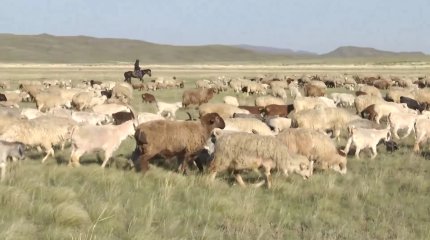 Қарағанды облысында “Жер аманаты” жобасының аясында 1 млн гектардан астам жер ел игілігіне берілген