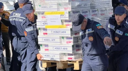 Гуманитарлық көмек: Қазақстан қай елге көмектесті және қай елден көмек алды
