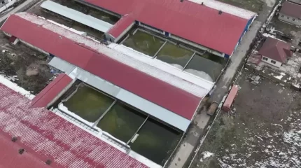 Алматы облысында алты жасар бала ешкі сүтін өндіретін фермадағы резервуарға батып кетті