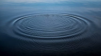 Түркістан облысында 5 жасар бала суару каналына батып кетті