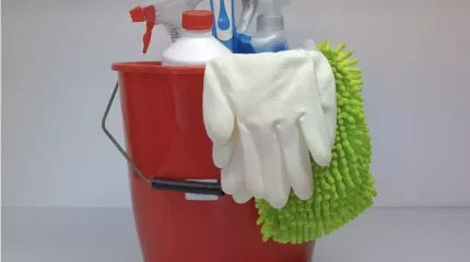 Түркістан облысында еден жуушы оқушының телефонын ұрлап алған