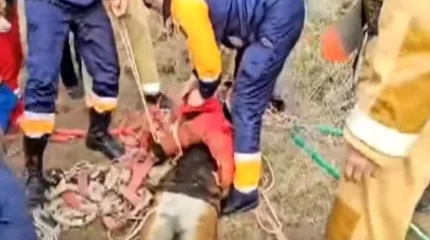 Тереңдігі 40 метр: Түркістан облысында келіншек құдыққа құлап көз жұмды