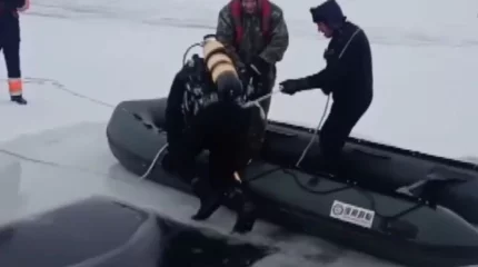 Қарағанды облысында көлігімен суға батып кеткен балықшының денесі бір айдан кейін табылды