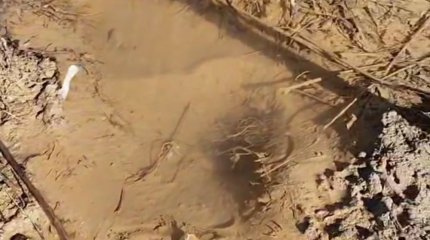 Утечкой питьевой воды у акимата села Мангистау недовольны жители