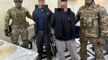 Граждане Афганистана за 5 тыс. долларов пытались незаконно пересечь границу