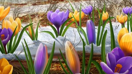 Алдағы мереке күндері ауа райы қандай болады?