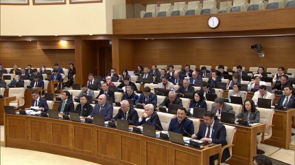 Мажилисмен потребовал запретить археологами-любителями использовать металлоискатели