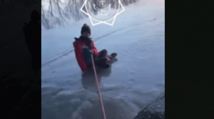 Ертіс өзенінде мұз жарылып, 11 жастағы баланы ағыс алып кетті