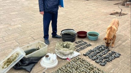 В Жанаозене изъяли крупную партию насвая у 49-летней женщины