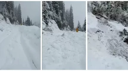 Алматы облысында тас жолға қар көшкіні құлады