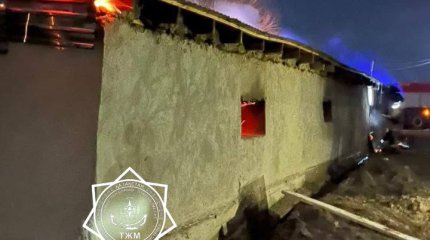 48 голов скота погибли при пожаре в Жамбылской области