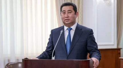 Қазақстанда мақта мен бидай алқабы қысқарады - Ауыл шаруашылығы министрі