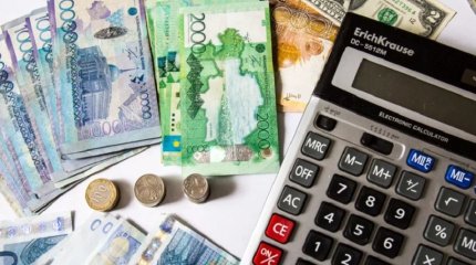 Елімізде жарты миллионға жуық студенттің мойнында несие бар