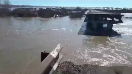 Абай облысында еріген қар суынан көпір опырылып кетті