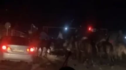 Алматы облысында жолда көкпар ойнағандар жазаланды