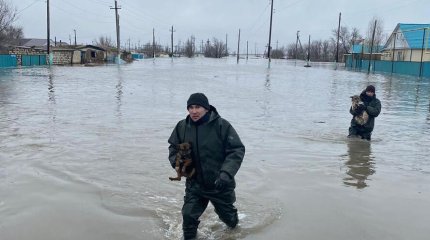 О риске вспышки кишечных инфекций из-за паводков предупредили санврачи